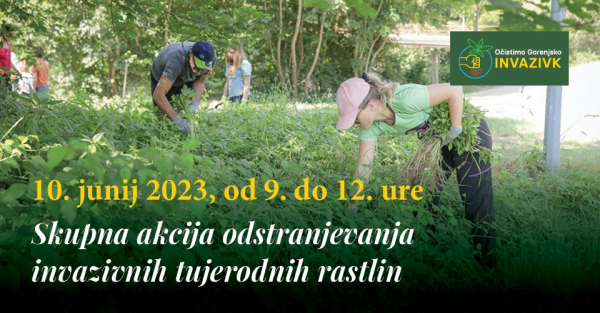 skupna akcija odstranjevanja invazivk